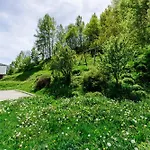 Primevere
